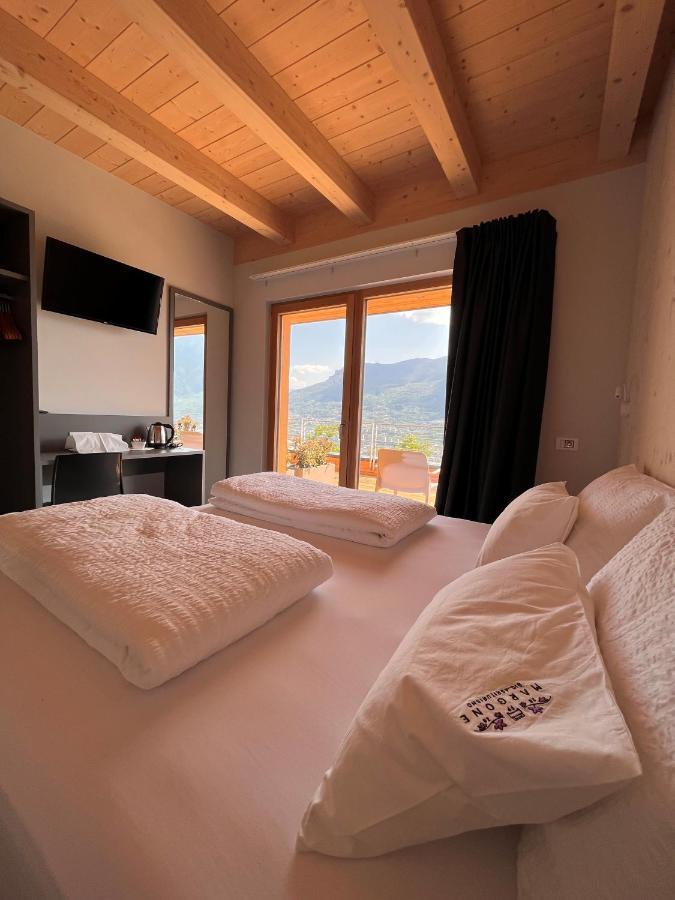 Double or Twin Room Terrace