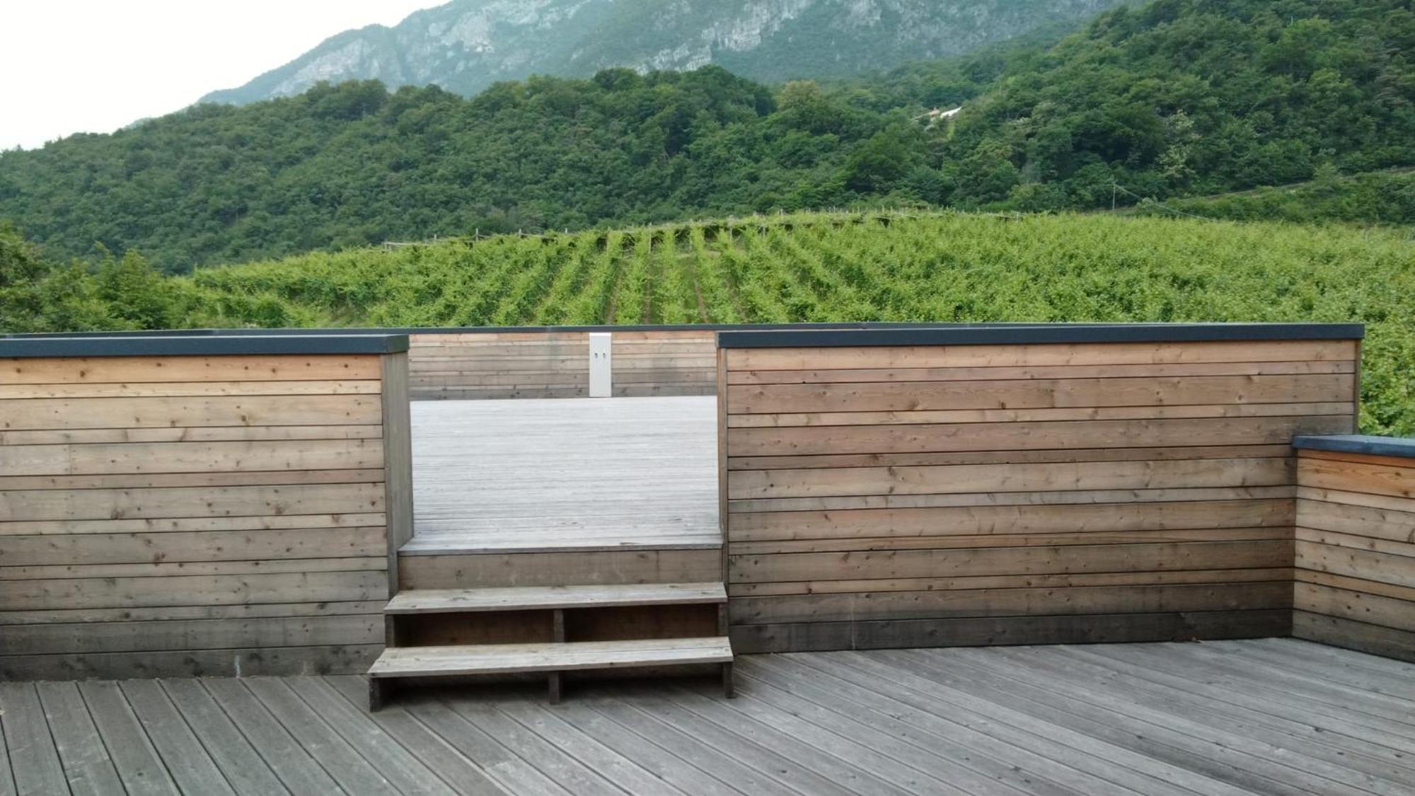 Double or Twin Room Terrace