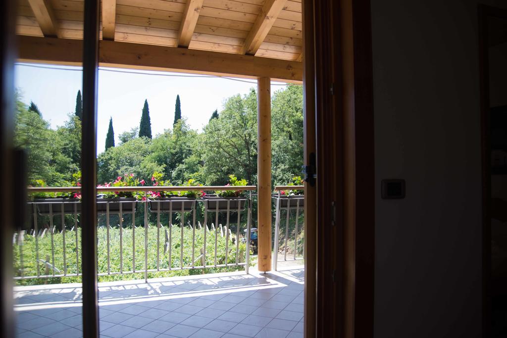 Double Room Terrace Vineyard View,409312359:JPEG