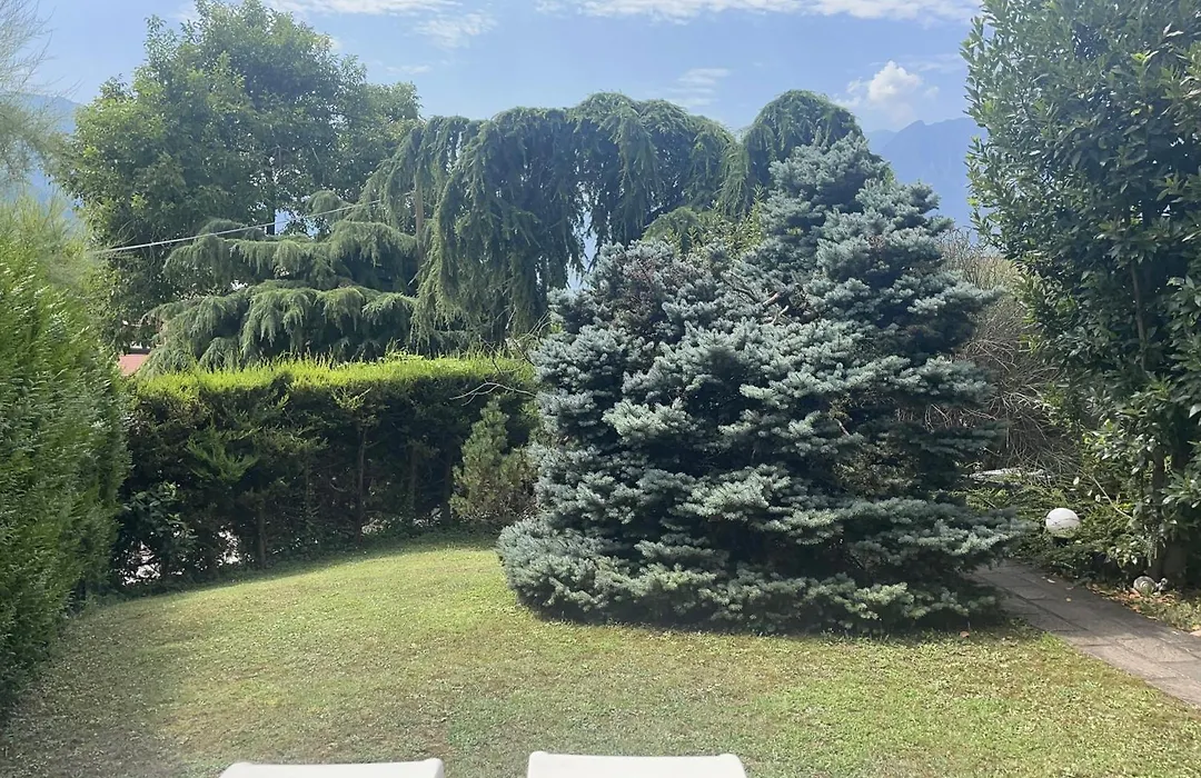 Villa Natura appartamento Open Space con giardino-1