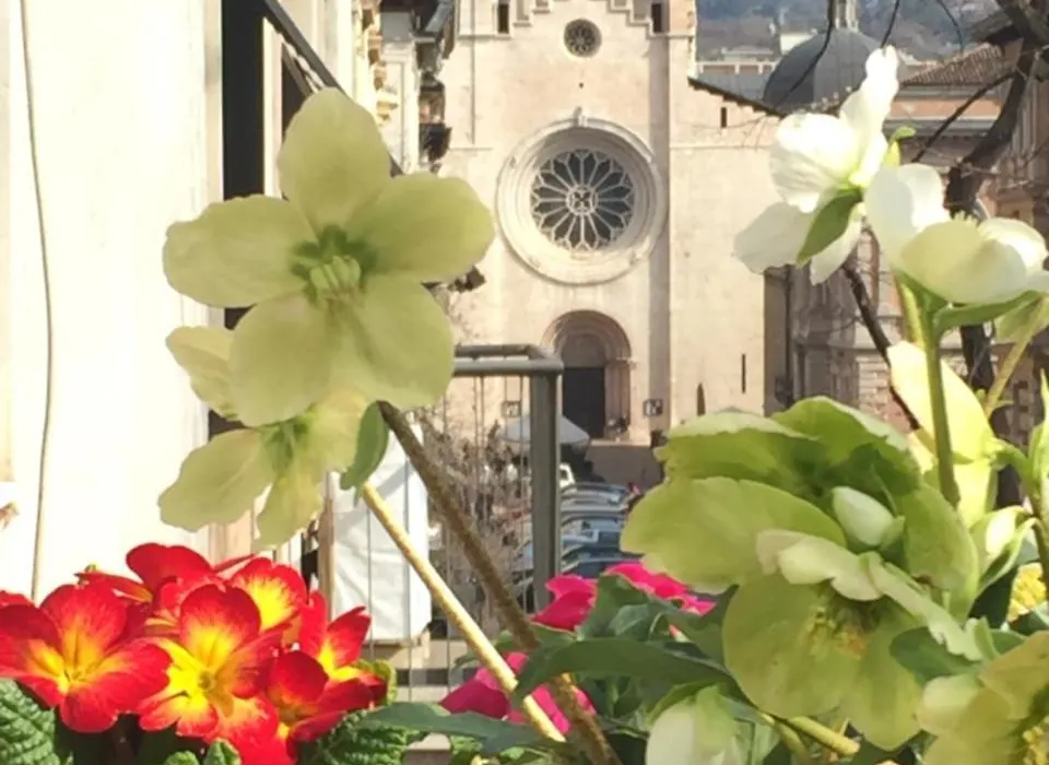 B&B Homer Trento-1