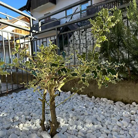 Casa Vacanza La Croseta-2