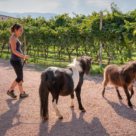 Agritur Maso Librar-3