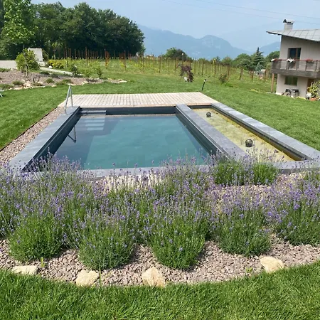 Agritur Verderame-2