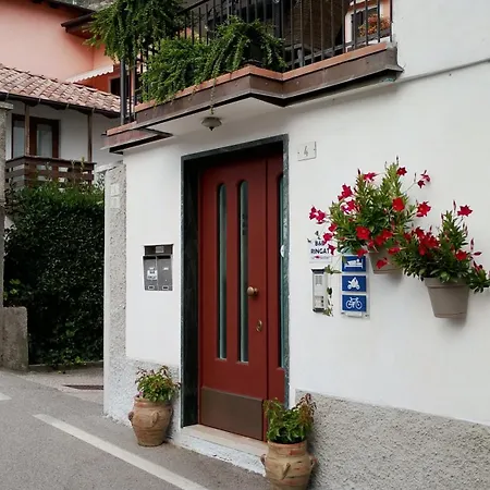 B&B Ringat-2